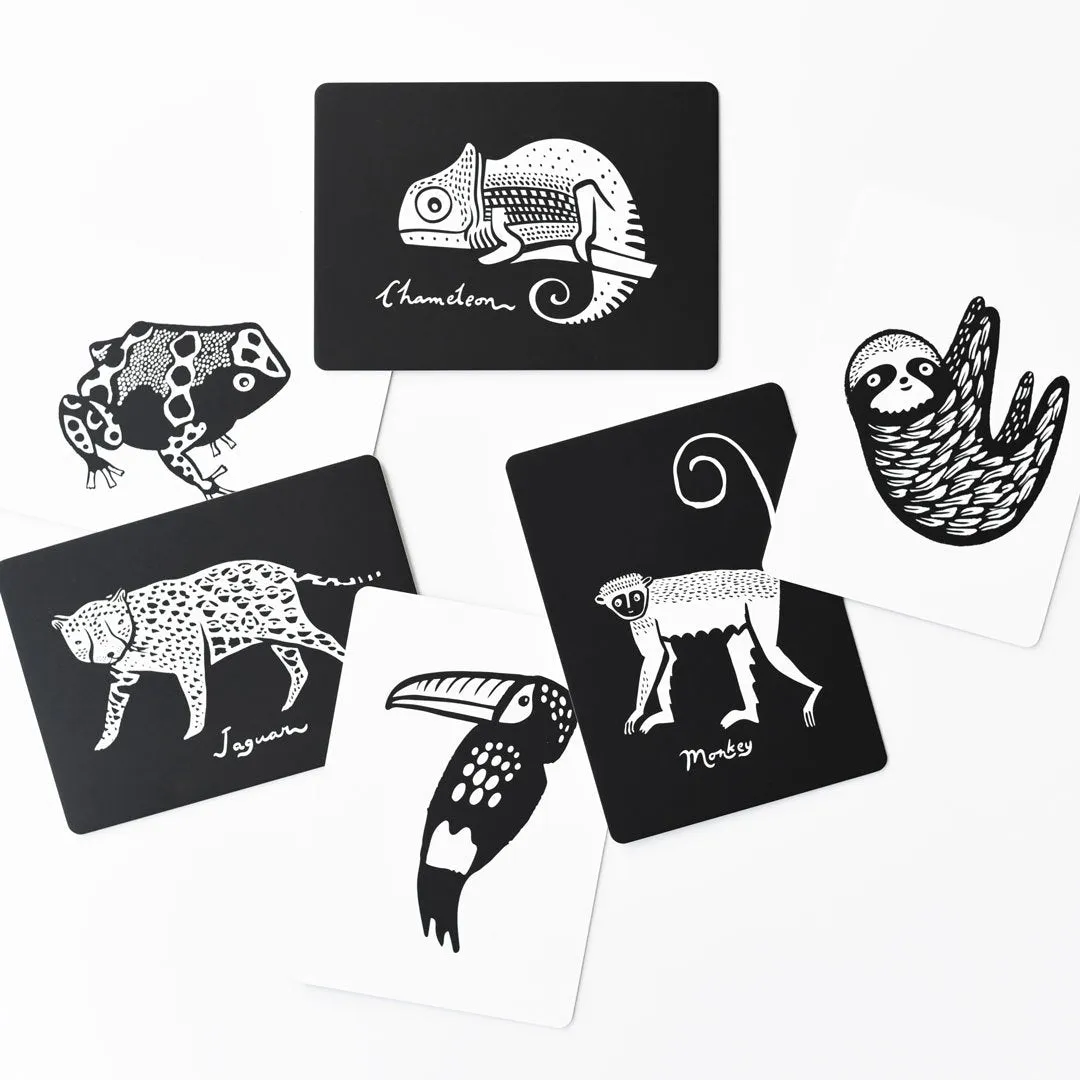 Art Cards for Baby - Rainforest Collection