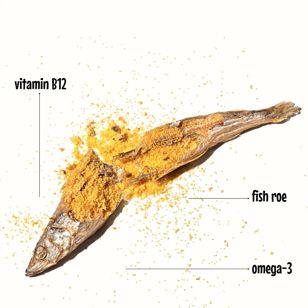 Arya Sit - Freeze-Dried Capelin