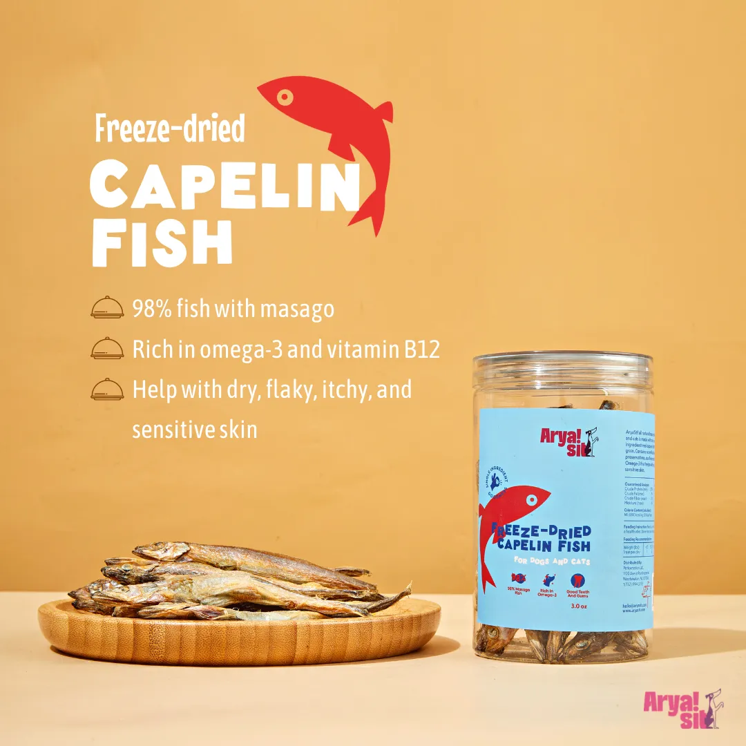 Arya Sit - Freeze-Dried Capelin