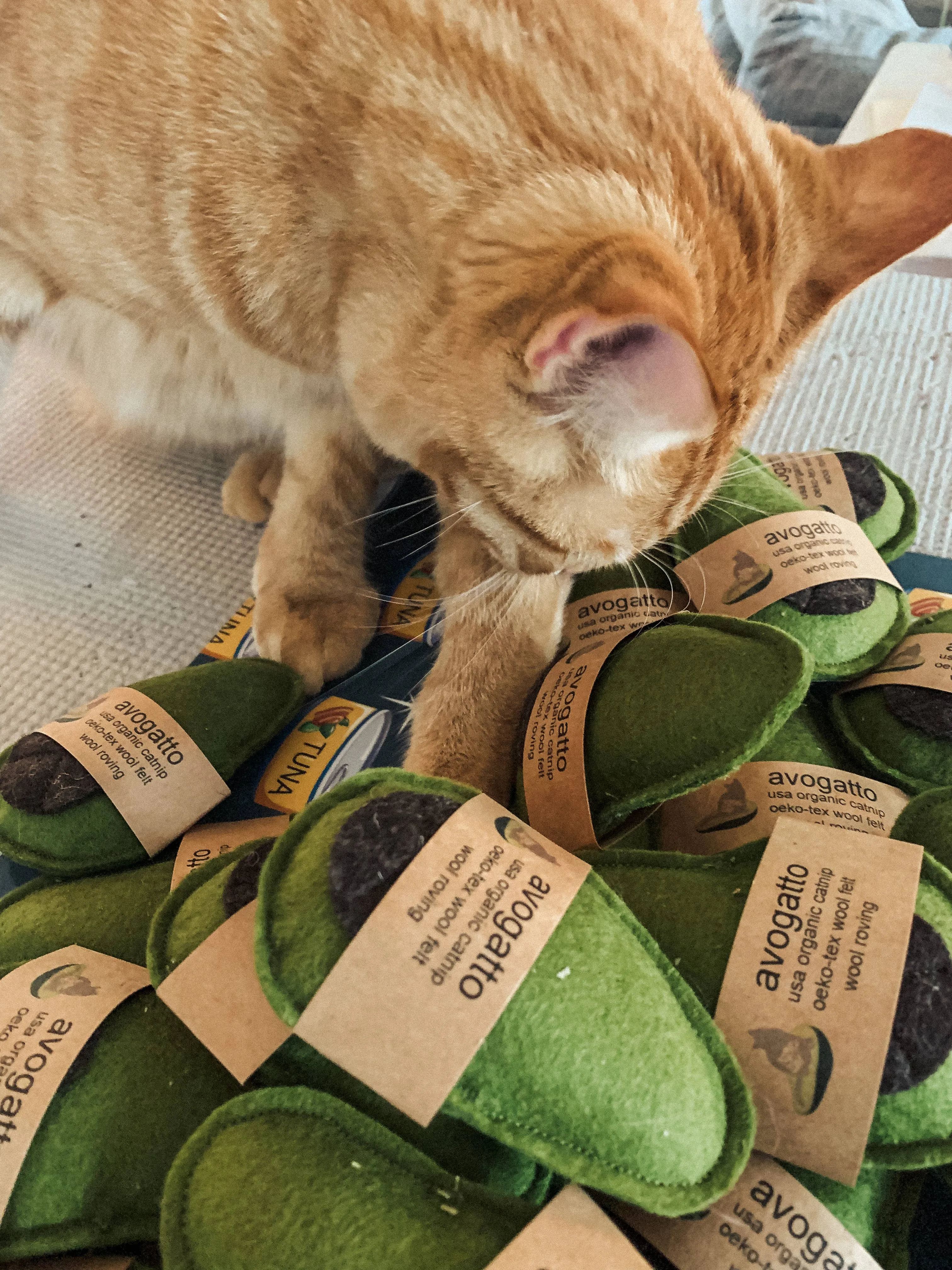 Avogatto Cat Toy