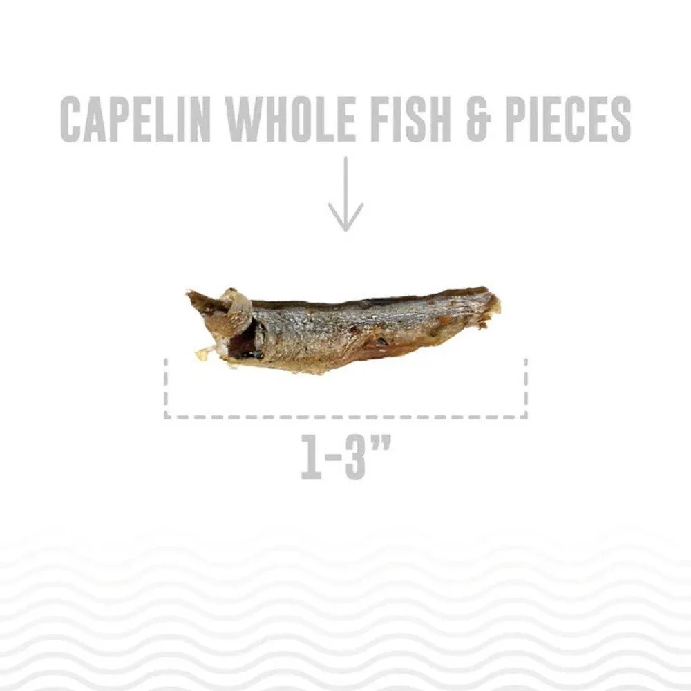 Capelin Whole Fish Dog Treats