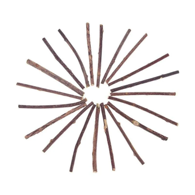 Catnip Teeth Brushing Sticks for Cat 15 / 20 Pcs Set