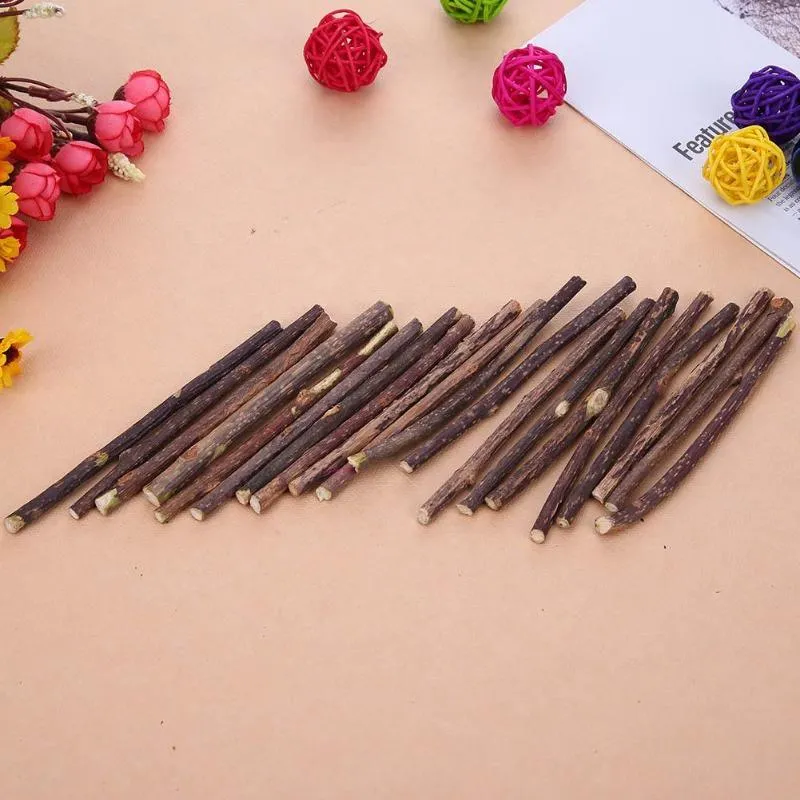 Catnip Teeth Brushing Sticks for Cat 15 / 20 Pcs Set