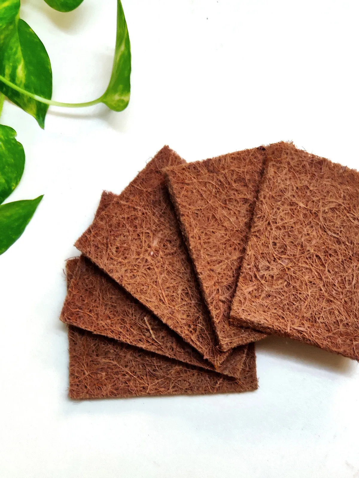 Coconut Coir Dish Scrub Pads Pack Of 5 Small