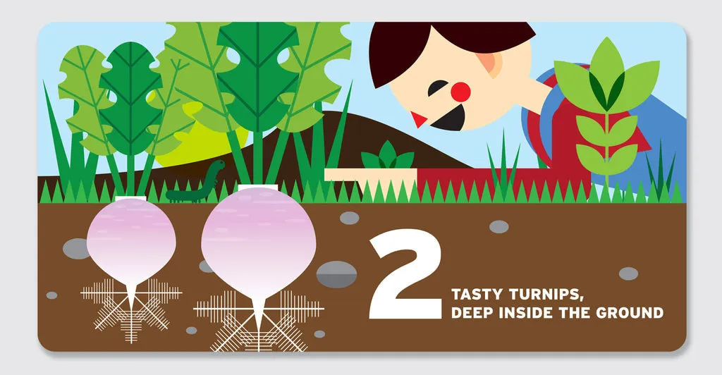 Counting in the Garden