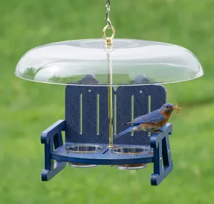 Duncraft Bluebird Sidewalk Cafe Bird Feeder