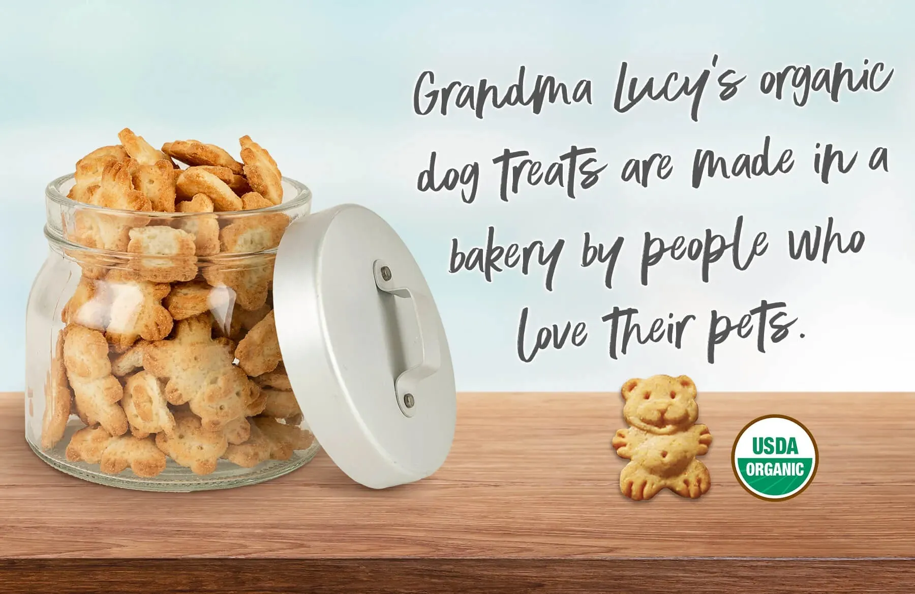 Grandma Lucy's Organic Oven Baked Dog Treats Gingerbread Recipe Limited Edition
