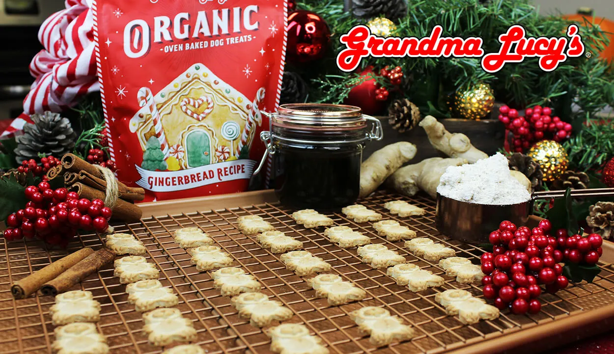 Grandma Lucy's Organic Oven Baked Dog Treats Gingerbread Recipe Limited Edition